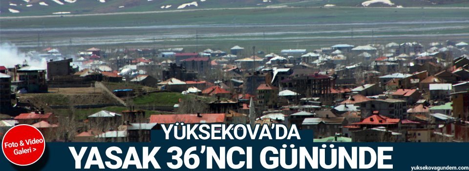 Yüksekova'da yasak 36'ncı gününde