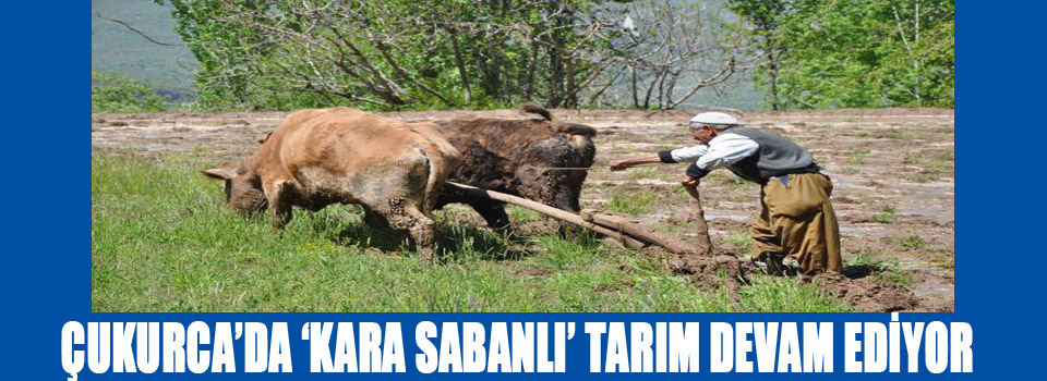 Çukurca'da 'kara sabanlı' tarım devam ediyor