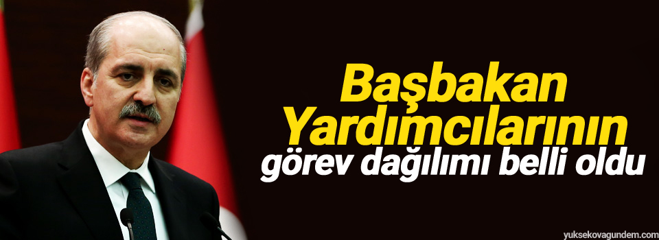 Başbakan Yardımcılarının görev dağılımı belli oldu
