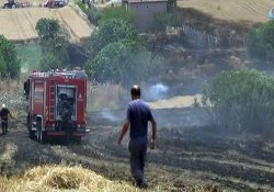 Silivri'de 10 dönüm ekili alan kül oldu