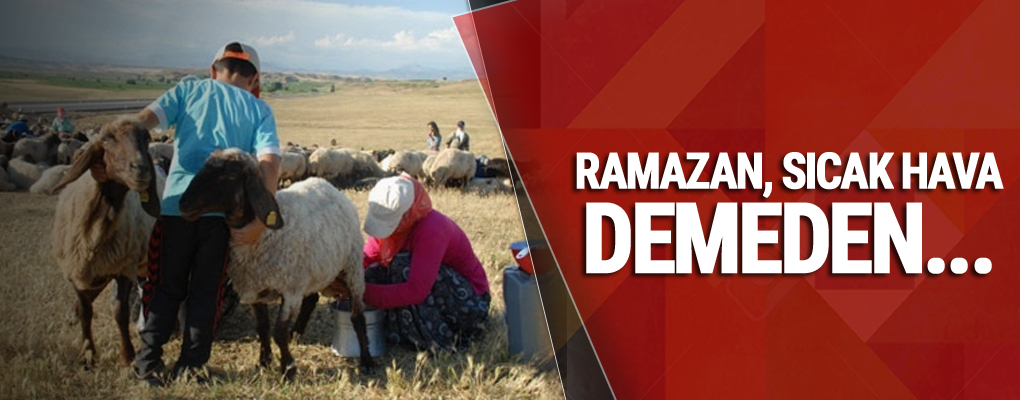 Berivanların Ramazan'da sıcakla imtihanı