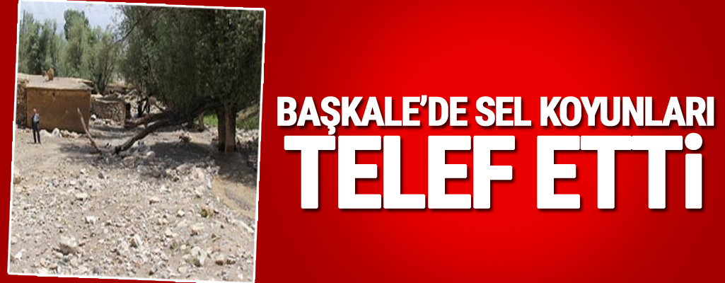 Başkale'de Sel Koyunları Telef Etti