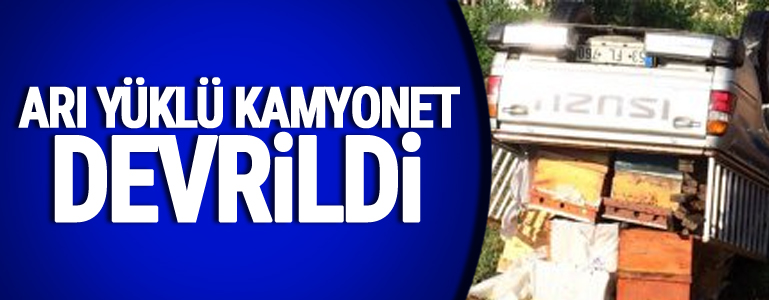 Arı yüklü kamyonet devrildi