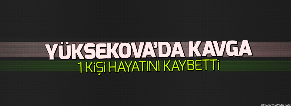 Yüksekova'da kavga 1 kişi hayatını kaybetti