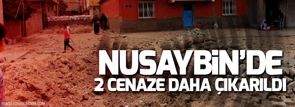 Nusaybin'de 2 cenaze daha çıkarıldı