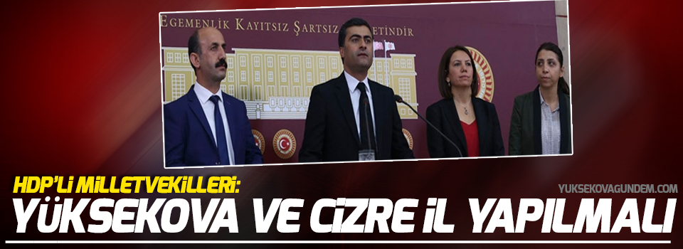 HDP'li milletvekilleri: Yüksekova ve Cizre il yapılmalı