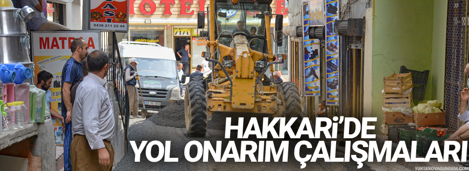 Hakkari’de yol onarım çalışmaları