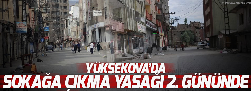 Yüksekova'da sokağa çıkma yasağı 2. gününde