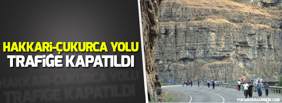 Hakkari-Çukurca yolu trafiğe kapatıldı