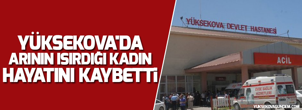 Yüksekova'da arının ısırdığı kadın hayatını kaybetti