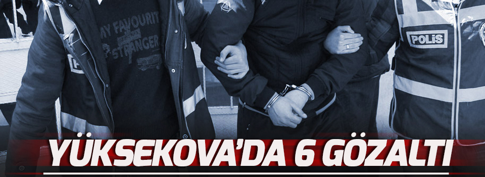 Yüksekova'da 6 gözaltı