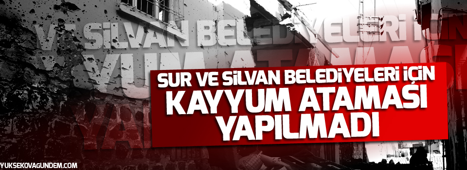 Diyarbakır Valisi: Sur ve Silvan belediyeleri için kayyum ataması yapılmadı
