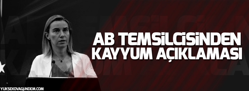 AB temsilcisinden kayyum açıklaması