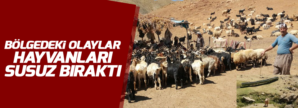 Bölgedeki olaylar hayvanları susuz bıraktı