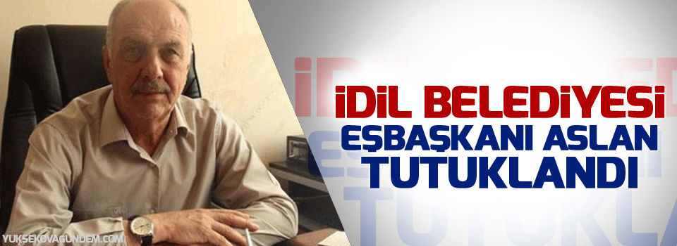 İdil Belediyesi Eş Başkanı Aslan tutuklandı