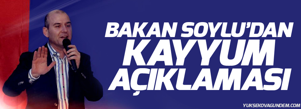 Bakan Soylu'dan kayyum açıklaması