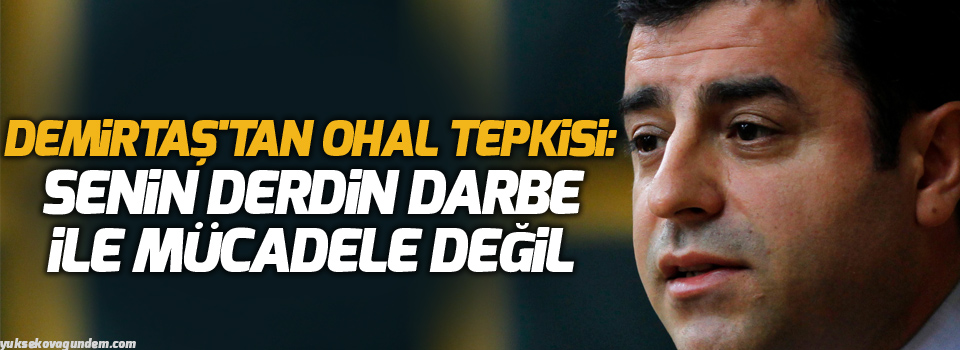 Demirtaş'tan OHAL tepkisi: Senin derdin darbe ile mücadele değil