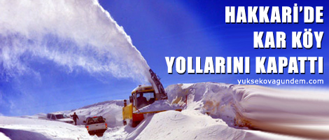 Hakkari'de kar köy yollarını kapattı