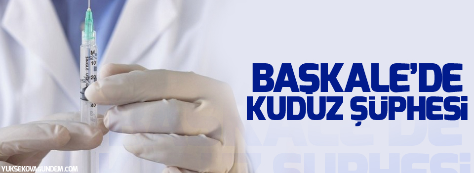 Başkale’de kuduz şüphesi: 12 kişi tedaviye alındı