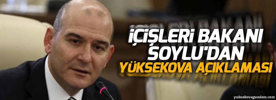 İçişleri Bakanı Soylu'dan Yüksekova açıklaması