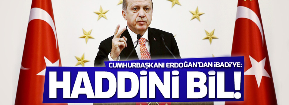 Erdoğan'dan Irak Başbakanı'na: Biz bildiğimizi okuyacağız