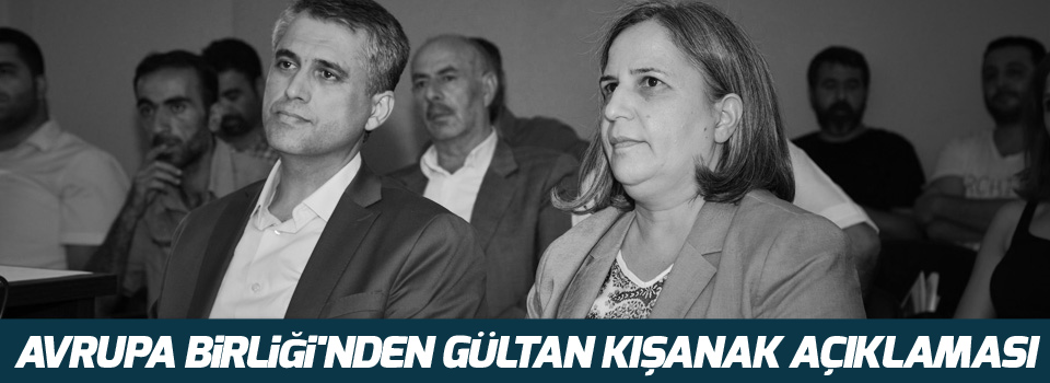 Avrupa Birliği'nden Gültan Kışanak açıklaması