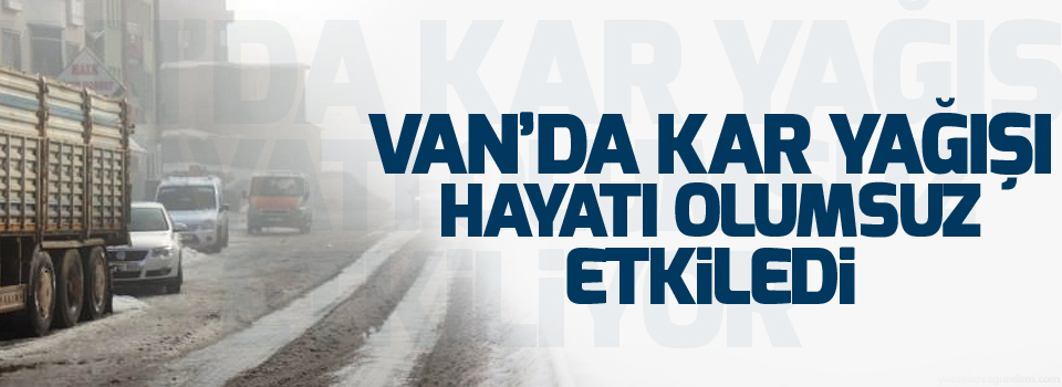 Van'da kar yağışı hayatı olumsuz etkiledi