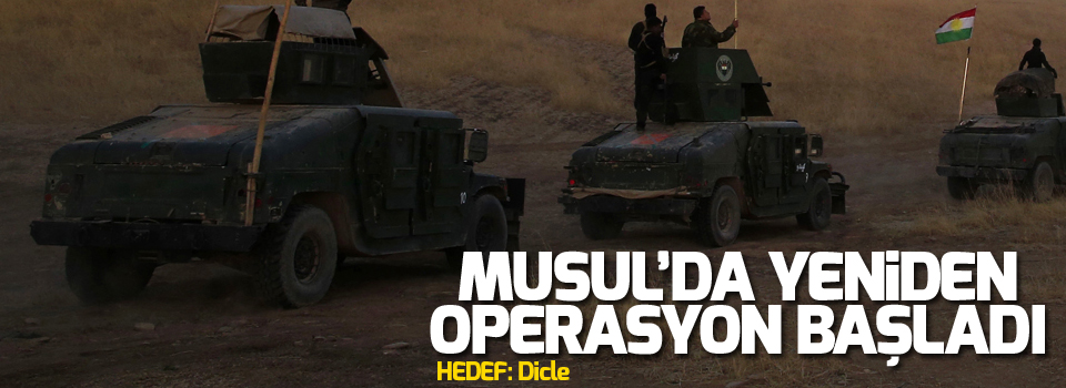 Operasyon yeniden başladı!