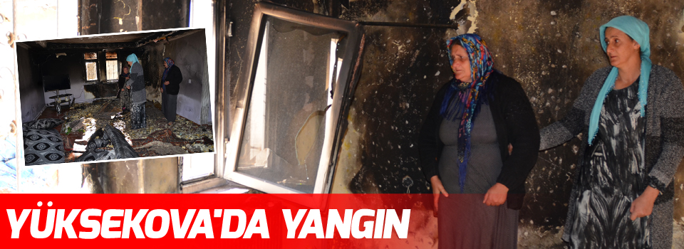 Yüksekova'da korkutan yangın