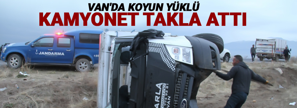 Van'da koyun yüklü kamyonet takla attı