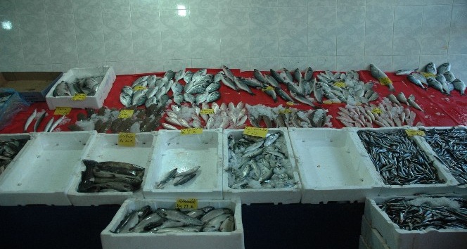 Van’da balık tezgahları boş kaldı