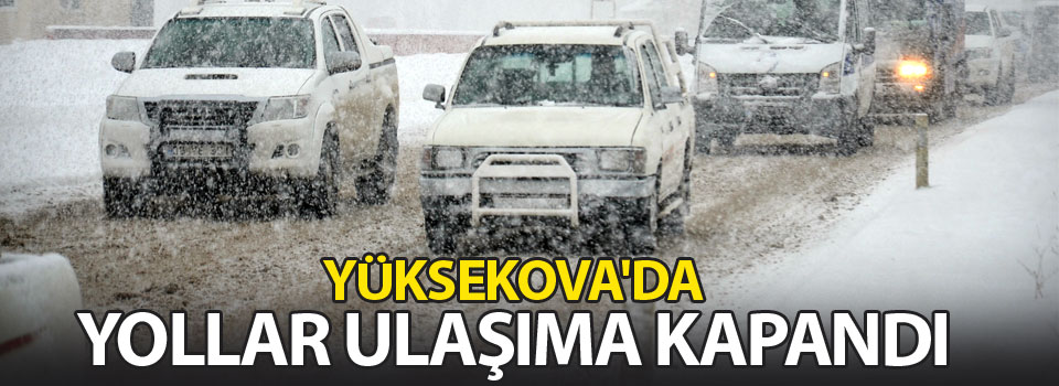 Yüksekova'da kar yağışı hayatı felç etti: Yollar ulaşıma kapandı