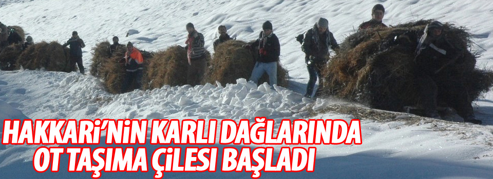 Hakkari’nin karlı dağlarında ot taşıma çilesi başladı