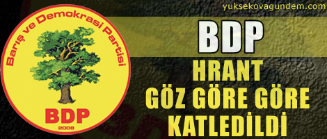 'Hrant göz göre göre katledildi'