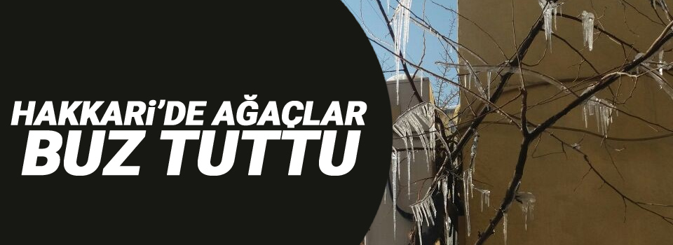 Hakkari’de ağaçlar buz tuttu