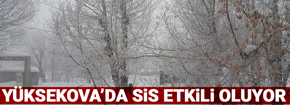 Yüksekova'da sis etkili oluyor