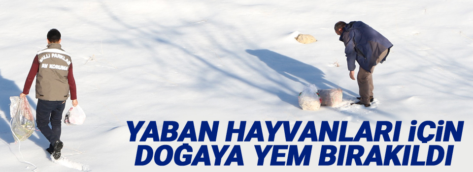 Yaban hayvanları için doğaya yem bırakıldı