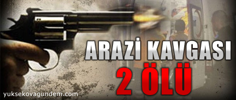 Bingöl'de arazi kavgası: 2 ölü, 3 yaralı