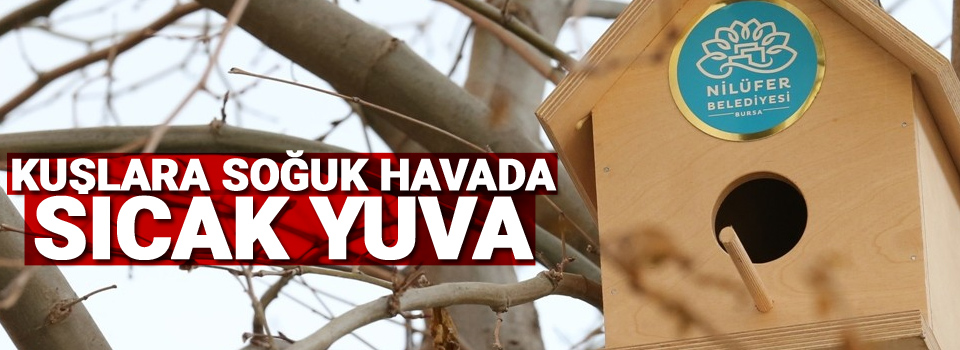 Kuşlara soğuk havada sıcak yuva