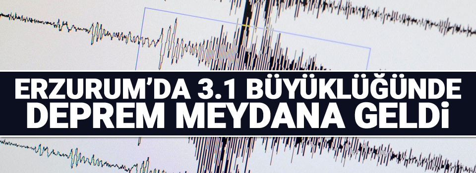 Erzurum'da 3.1 şiddetinde deprem