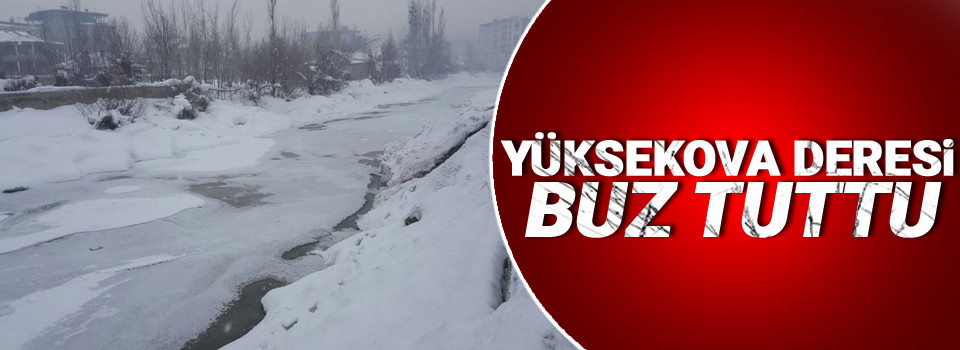 Yüksekova Deresi Buz Tuttu