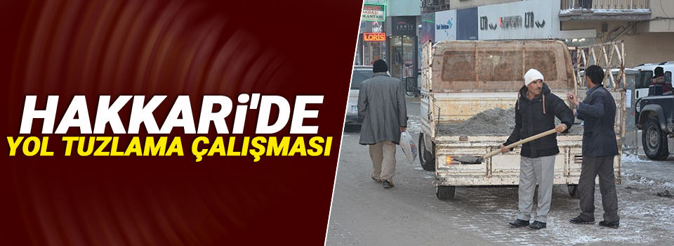 Hakkari'de yol tuzlama çalışması