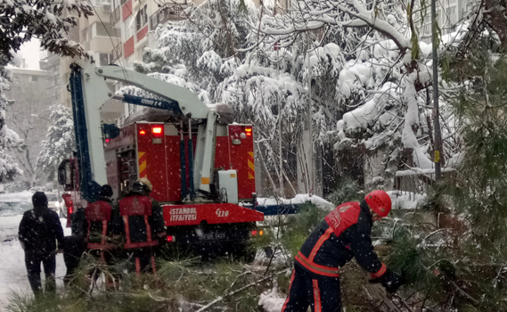 Yoğun kar yağışı nedeniyle ağaç devrildi