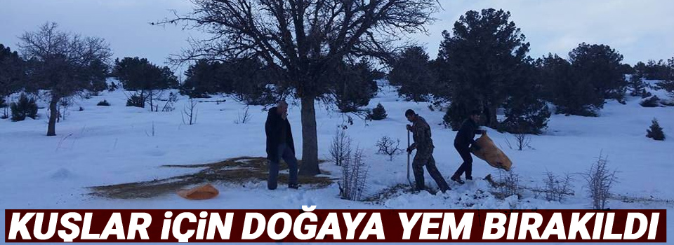 Kuşlar için doğaya yem bırakıldı