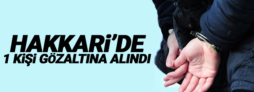 Hakkari'de 1 kişi gözaltına alındı