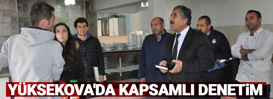 Yüksekova'da Kapsamlı Denetim