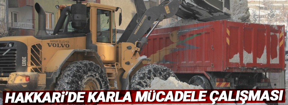 Hakkari’de karla mücadele çalışması