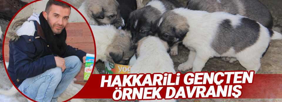 Hakkarili gençten örnek davranış