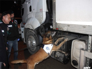 Van'dan gitti, Bursa'da yakalandı