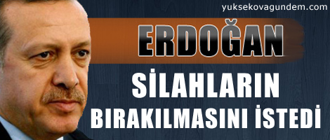 Erdoğan silahların bırakılmasını istedi